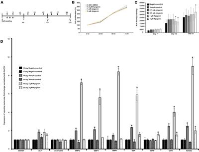 Facilitating Reparative Dentin Formation Using Apigenin Local Delivery in the Exposed Pulp Cavity